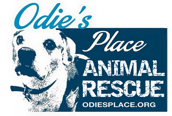 Odies Place