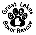 Great Lakes Boxer Rescue