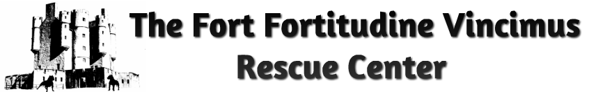 The Fort - Fortitudine Vincimus Rescue Center