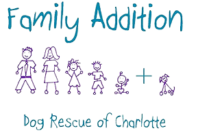 Family Addition Dog Rescue Of Charlotte