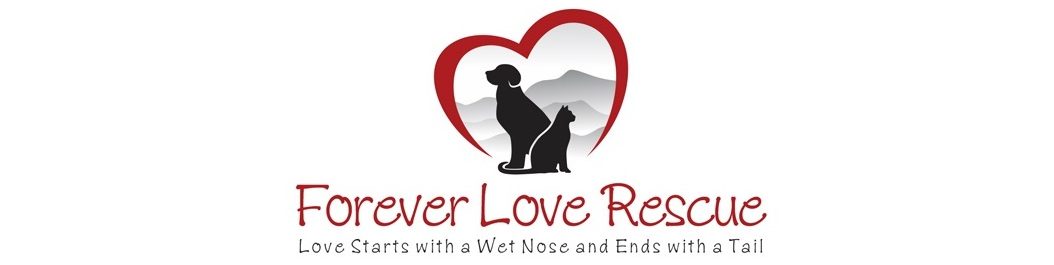 Forever Love Rescue Inc
