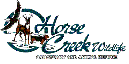 Horse Creek Wildlife Sanctuary & Animal Refuge