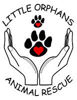 Little Orphan's Animal Rescue, Inc.