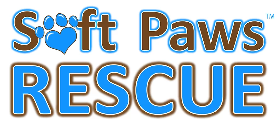Soft Paw's Rescue