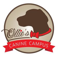 Ollie's Canine Campus /  St. Francis K9 Rescue, Inc.