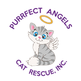 Purrfect Angels Cat Rescue
