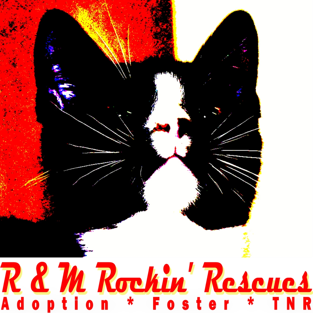 R And M Rockin' Rescues