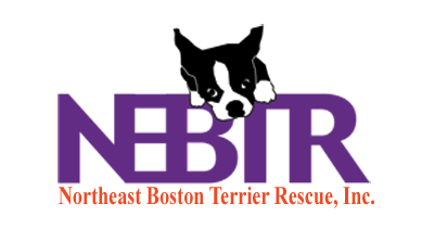 Northeast Boston Terrier Rescue Inc.