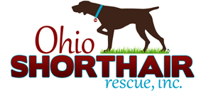 Ohio Shorthair Rescue, Inc.