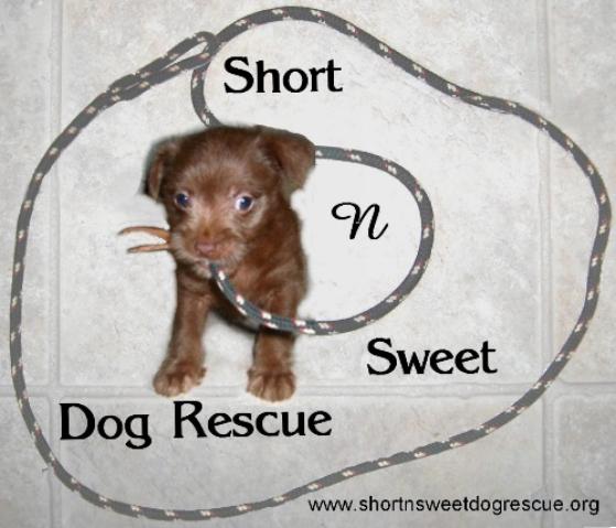 Short N Sweet Dog Rescue