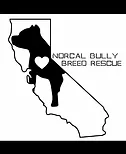 Norcal Bully Breed Rescue