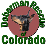 Doberman Rescue Of Colorado