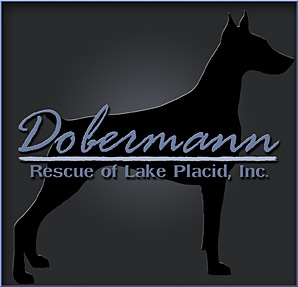 Dobermann Rescue Of Lake Placid Inc.