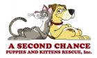 A Second Chance Puppies And Kittens Rescue