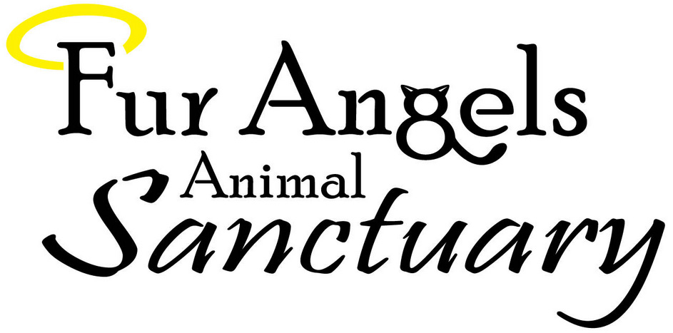 Fur Angels Animal SanctuaryPet Shelter in Aurora IL