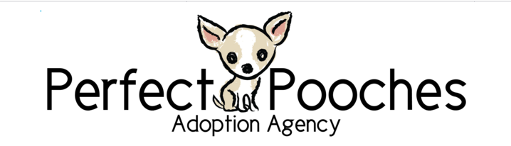 Perfect Pooches Adoption Agency