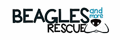 Beagles And More Rescue