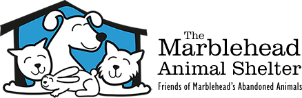 The Marblehead Animal Shelter (friends Of Marblehead's Abandoned Animals)