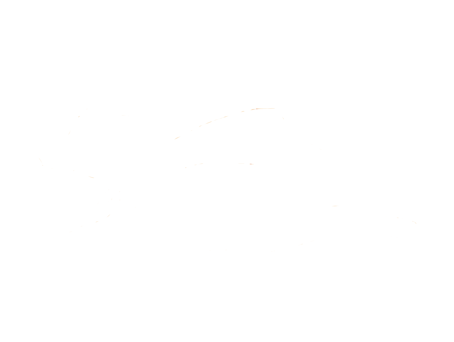 Sweet Paws Rescue, Inc.