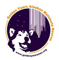 Golden Years Alaskan Malamute Rescue