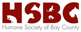 Humane Society Of Bay County