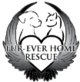 Fur-ever Home Rescue