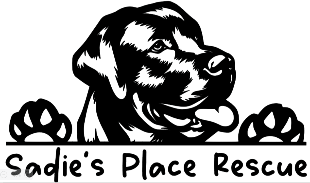 Sadie’s Place Animal Rescue