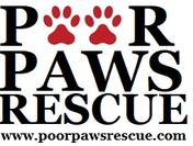 Poor Paws Rescue North