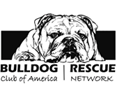 Bulldog Club Of America Rescue Network