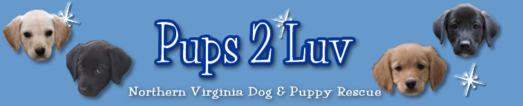 Pups 2 Luv Rescue