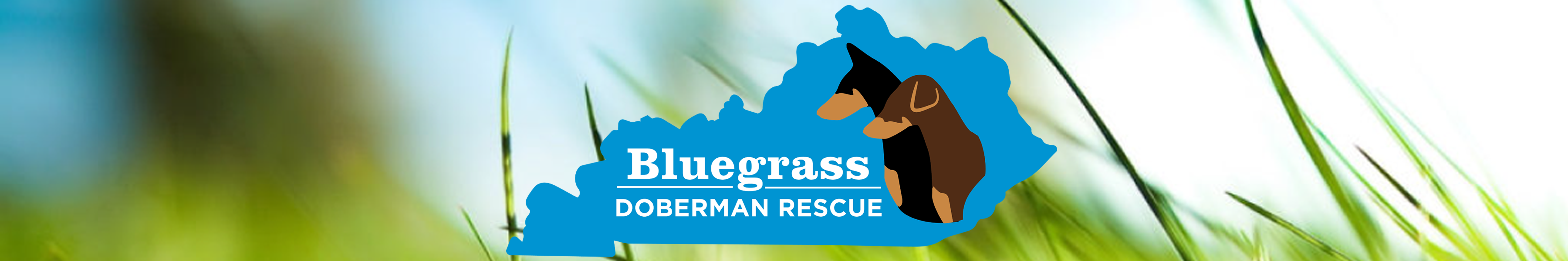 Bluegrass Doberman Rescue