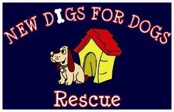 New Digs for Dogs Rescue