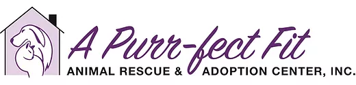 A Purr-fect Fit Animal Rescue And Adoption Center