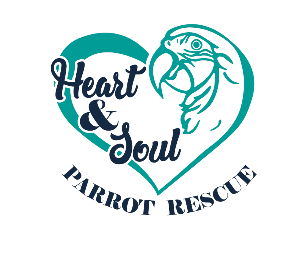Heart And Soul Parrot Rescue