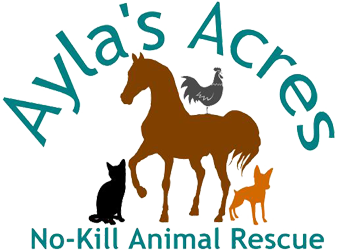 Ayla's Acres No-kill Animal Rescue, Inc.