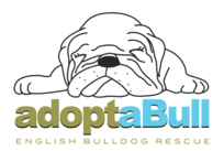 Adoptabull English Bulldog Rescue