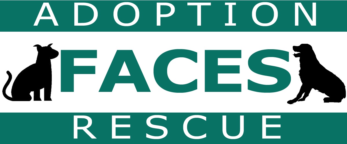 Faces Dog Rescue Inc.