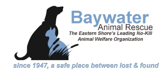 Baywater Animal Rescue