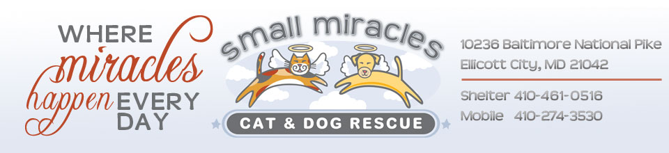 Small Miracles Cat & Dog Rescue
