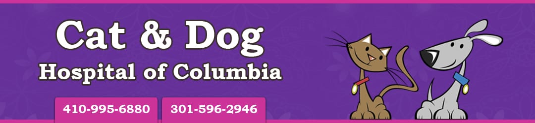 Cat And Dog Hospital Of Columbia - Adoptions