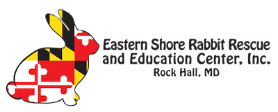 Eastern Shore Rabbit Rescue And Education Center
