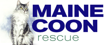 Maine Coon Rescue (mcr)