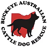 Buckeye Australian Cattle Dog Rescue