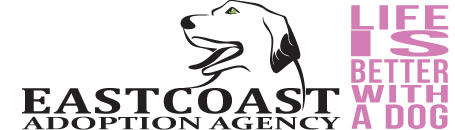 East Coast Adoption Agency - Pa