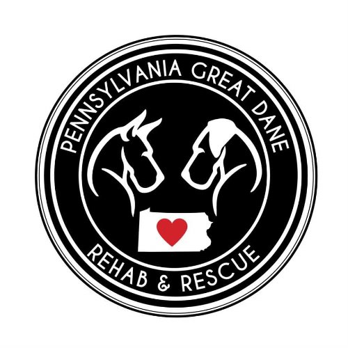Pennsylvania Great Dane Rescue And Rehab