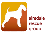 Airedale Rescue Group Of Sc