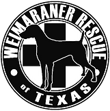 Weimaraner Rescue Of Texas