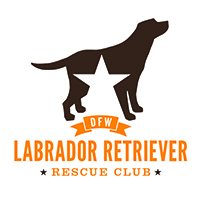 Dallas/fort Worth Labrador Retriever Rescue Club, Inc.