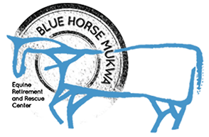 Blue Horse Mukwa Equine Retirement And Rescue Center