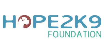 Hope2k9 Foundation